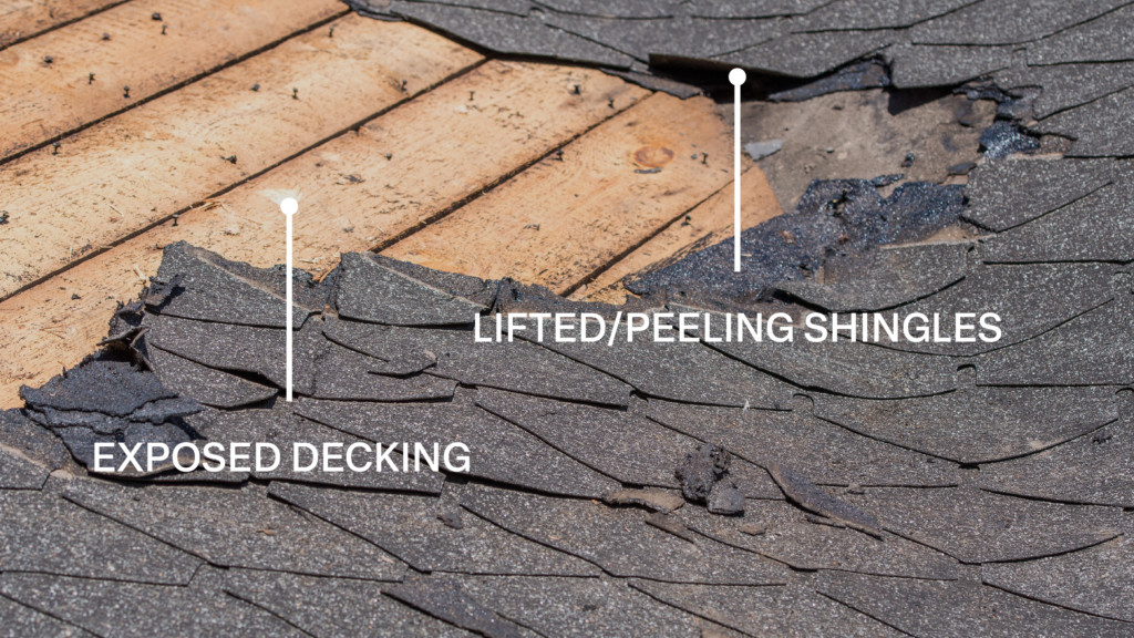 Lifted/Peeling Shingles. Exposed Roof Decking.