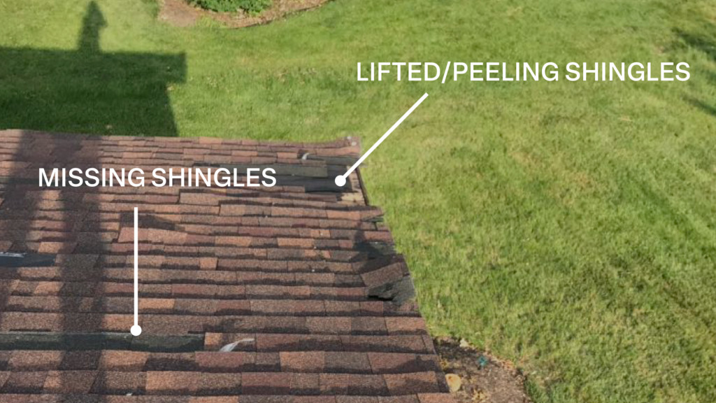 Lifted/Peeling Shingles on roof. Missing Shingles.